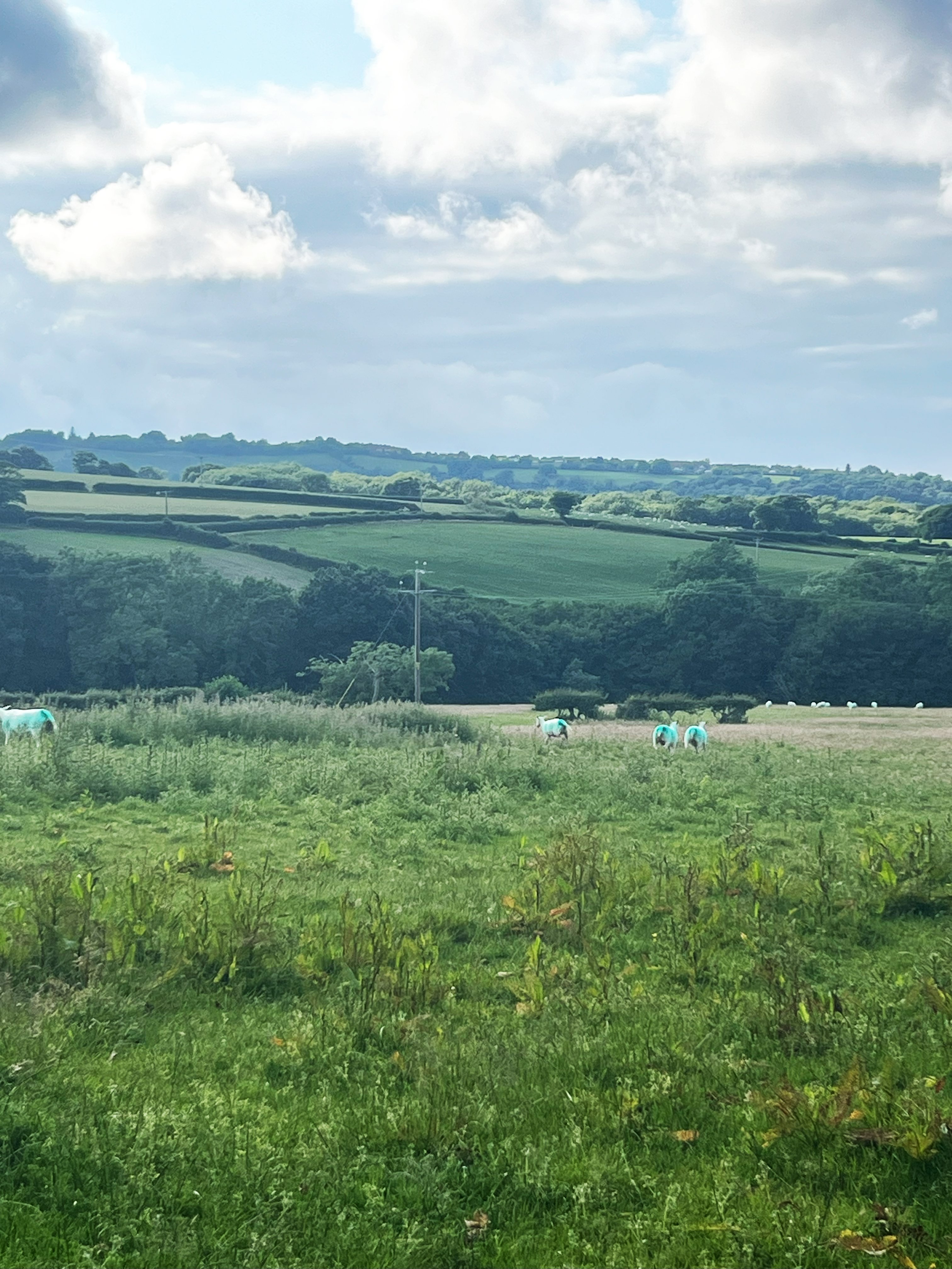 Welsh countryside