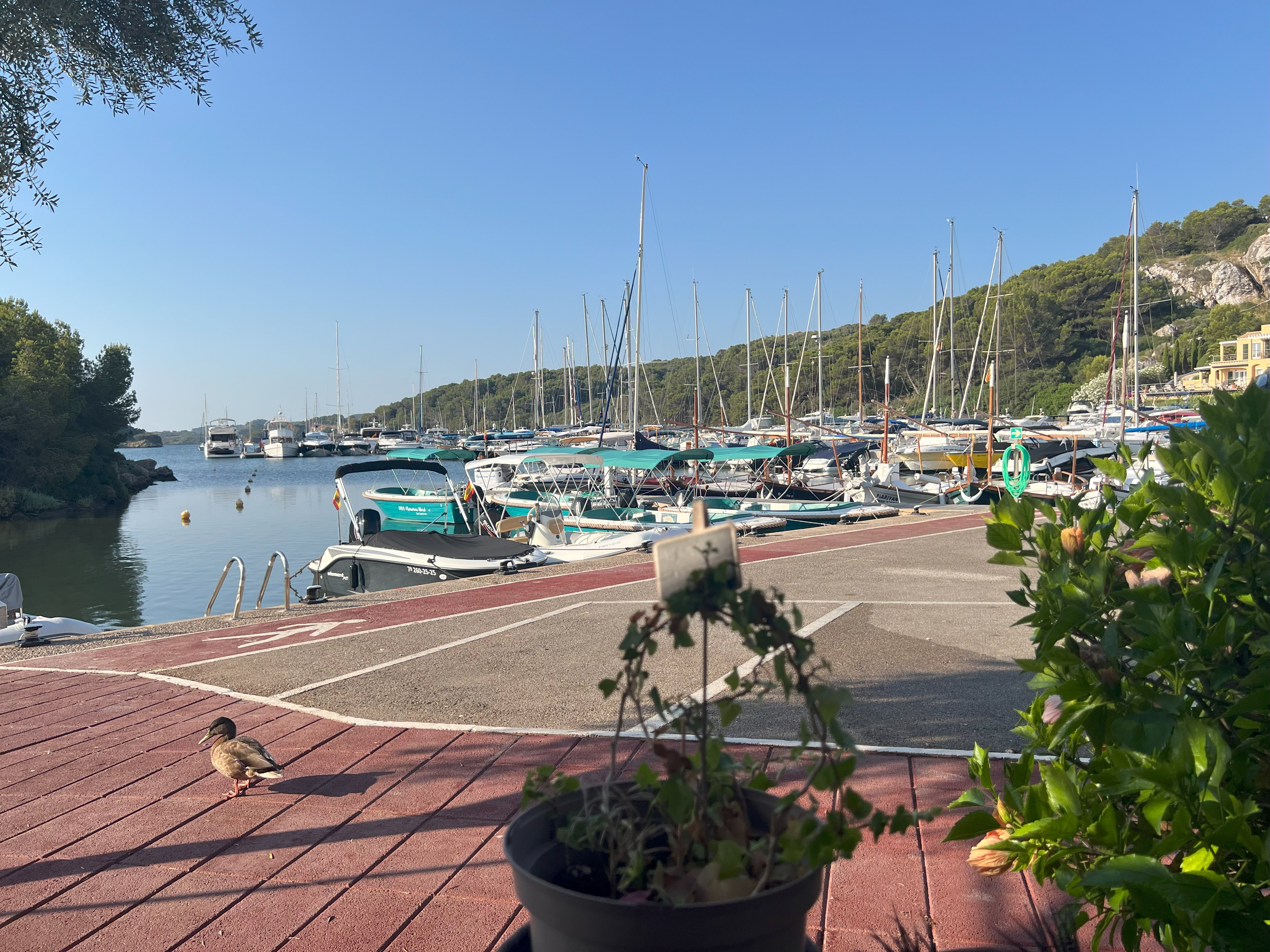 Puerto Addaia