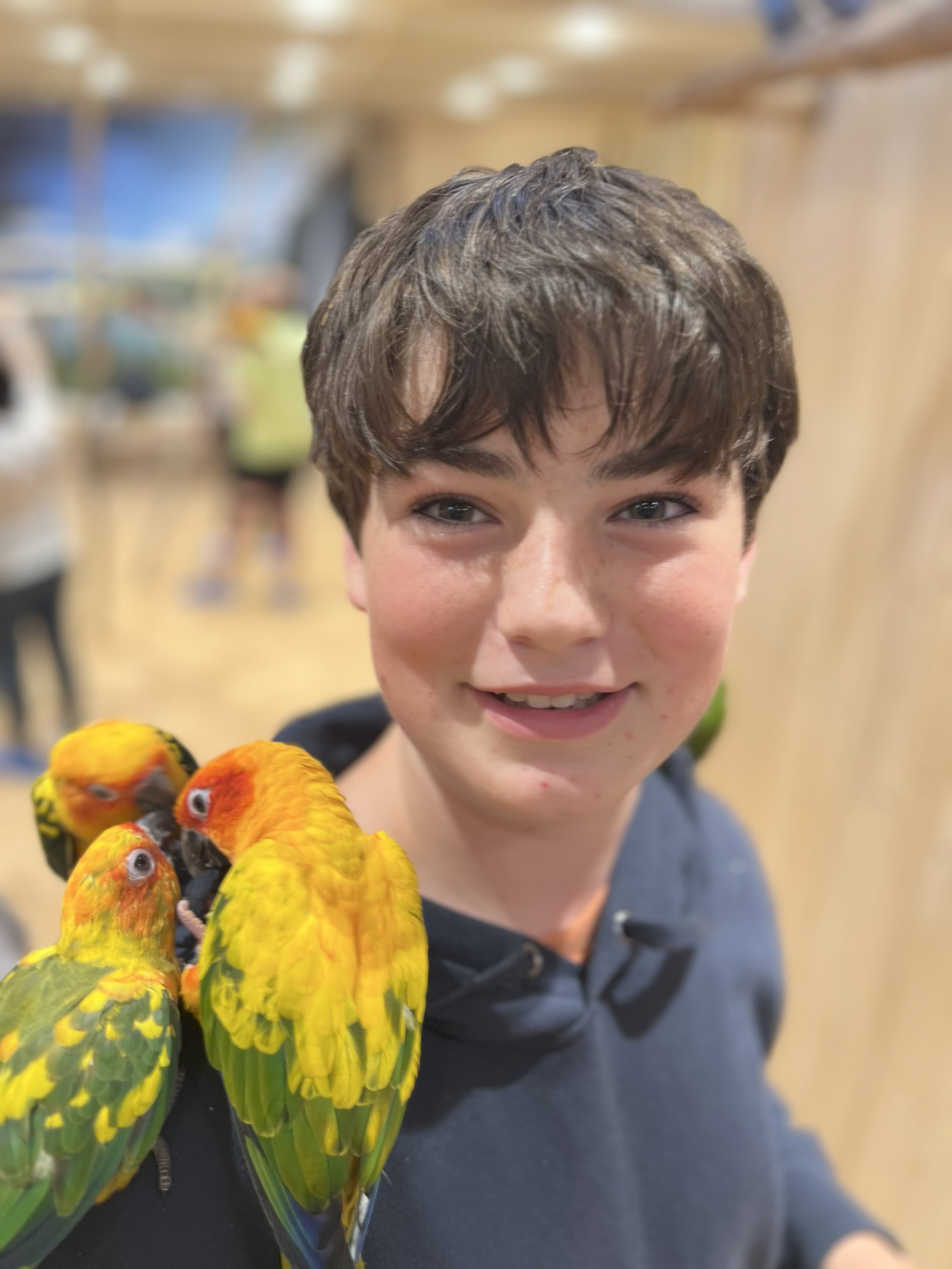Miles and parrots